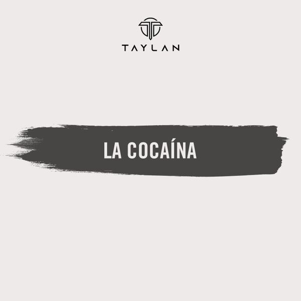 Cover art for La Cocaína